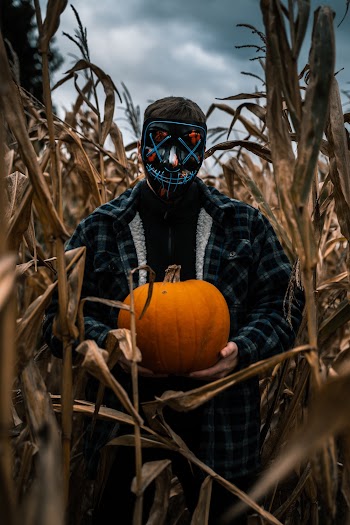 Photo Of Man Standing Near Corn Plants