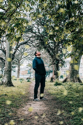 Photo of Man Standing Near Trees