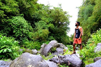 Photo of Man Standing on Rocks Near Trees