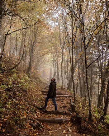 Photo of Man Standing on Unpaved Pathway While Looking Upwards
