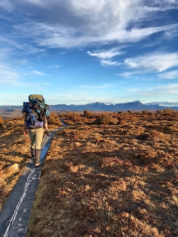 Photo of Man Walking 