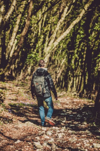 Photo of Man Walking in the Forest
