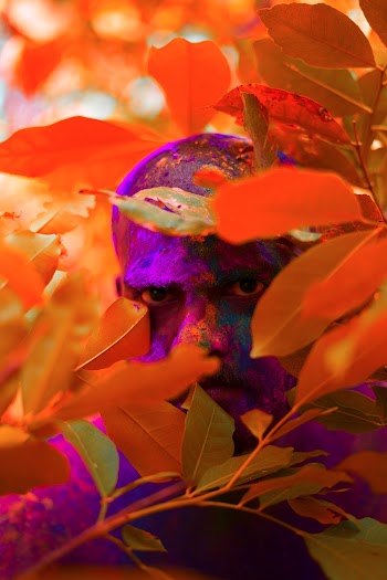 Photo of Man With Face Paint Surrounded by Leaves