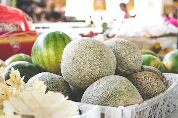 Photo of Melons on White Plastic Basket