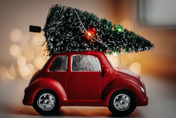 Photo of Miniature Red Car and Pine Tree