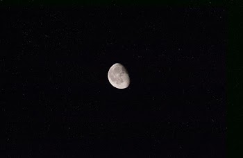 photo of moon