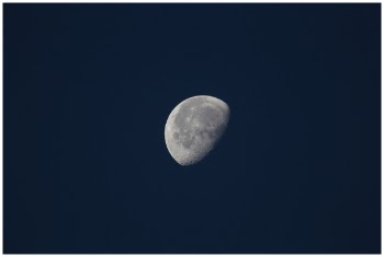 Photo Of Moon