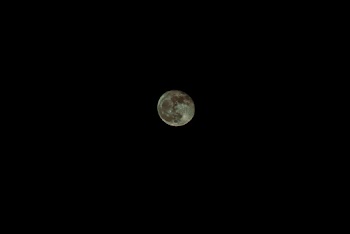 Photo of Moon