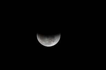 photo of moon