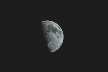 photo of moon