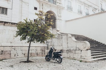 Photo of Motor Scooter Parked Near Stairs and Tree