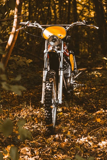Photo of Motorcycle on Forest