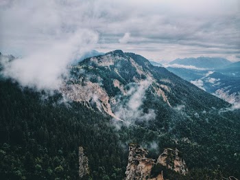 Photo of Mountain Covered by Trees Under Cloudy Sky