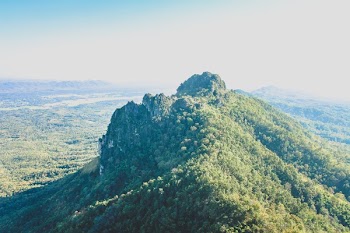 Photo of Mountain Covered with Trees