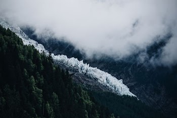 photo of mountain near green tree at daytime