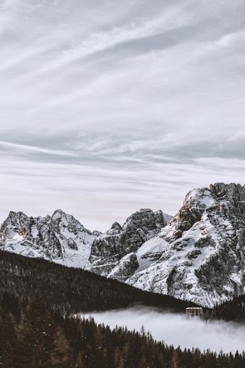 photo of mountain near pine trees
