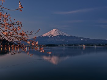 Photo of Mountain Scenery