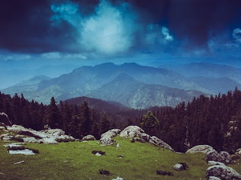 Photo of Mountains Surrounded by Pine Trees