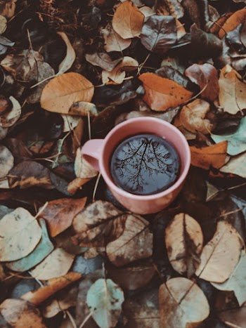 Photo Of Mug On The Ground