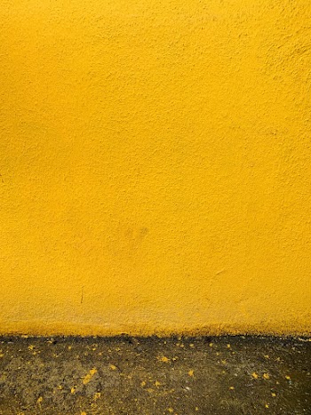 Photo of Mustard Yellow Wall