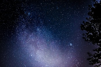 Photo of Night Sky with Stars