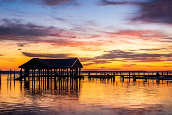 Photo of Ocean During Dawn