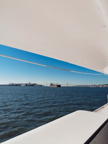 Photo Of Ocean During Daytime 