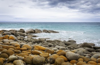 Photo Of Ocean During Daytime