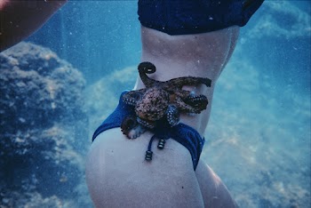 Photo of Octopus Near the Body of Woman