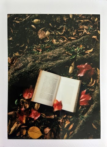 Photo of Opened Book Near Dry Leaves