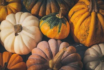 Photo of Orange and White Squash