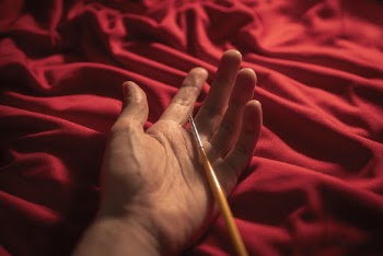 Photo of Paintbrush on Person's Palm