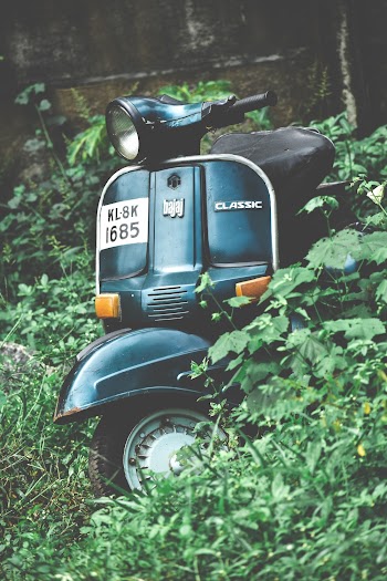 Photo of Parked Scooter in Woods