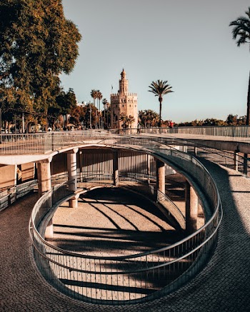Photo Of Pathway During Daytime