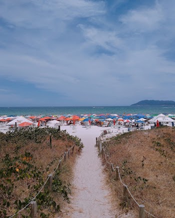 Photo of Pathway Going to the Beach