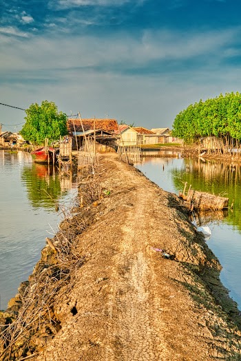 Photo of Pathway Near River