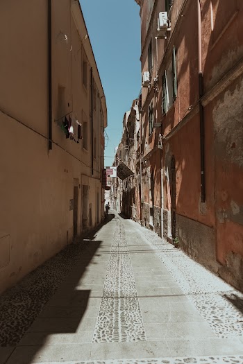 Photo Of Pavement During Daytime
