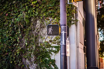 Photo of Pedestrian Sign