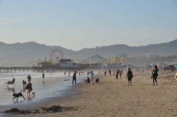 Photo of People at the Beach