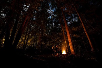Photo of People Camping in Forest
