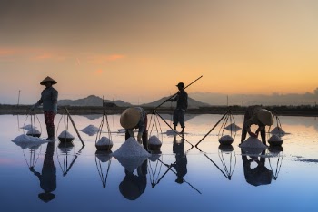 Photo of People Collecting Sea Salt 