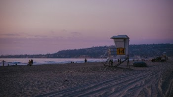 Photo of People on Beach
