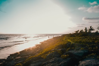 Photo of People on Seashore