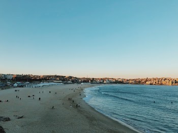 Photo of People On Seashore During Daytime