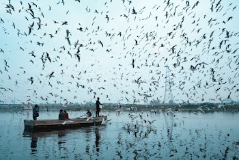 Photo Of People Riding On Boat 