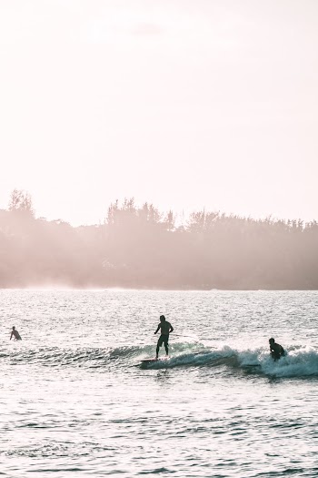 Photo of People Riding Surfboard