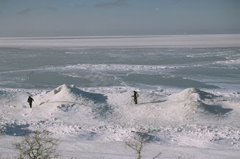 Photo of People Standing in Snow Field