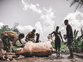 Photo Of People Standing Near Animal