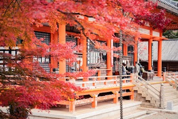 Photo Of People Standing On Temple