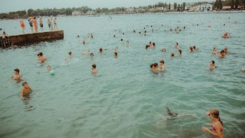 Photo of People Swimming in Sea